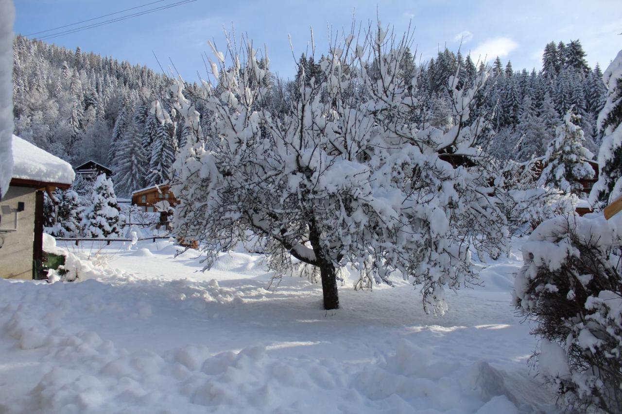 Arveyes Chalet Le Slalom מראה חיצוני תמונה